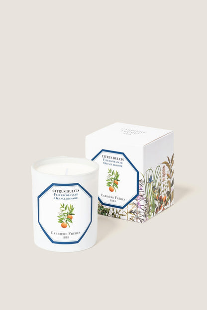 Blossom Candle
