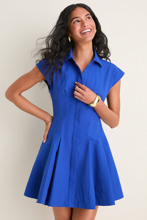 Blueberry Clemmie Cotton Mini Dress