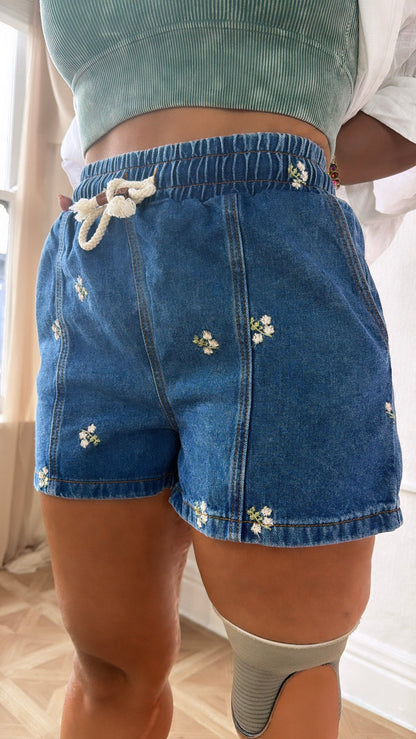 Petal Creek Denim Shorts, Medium