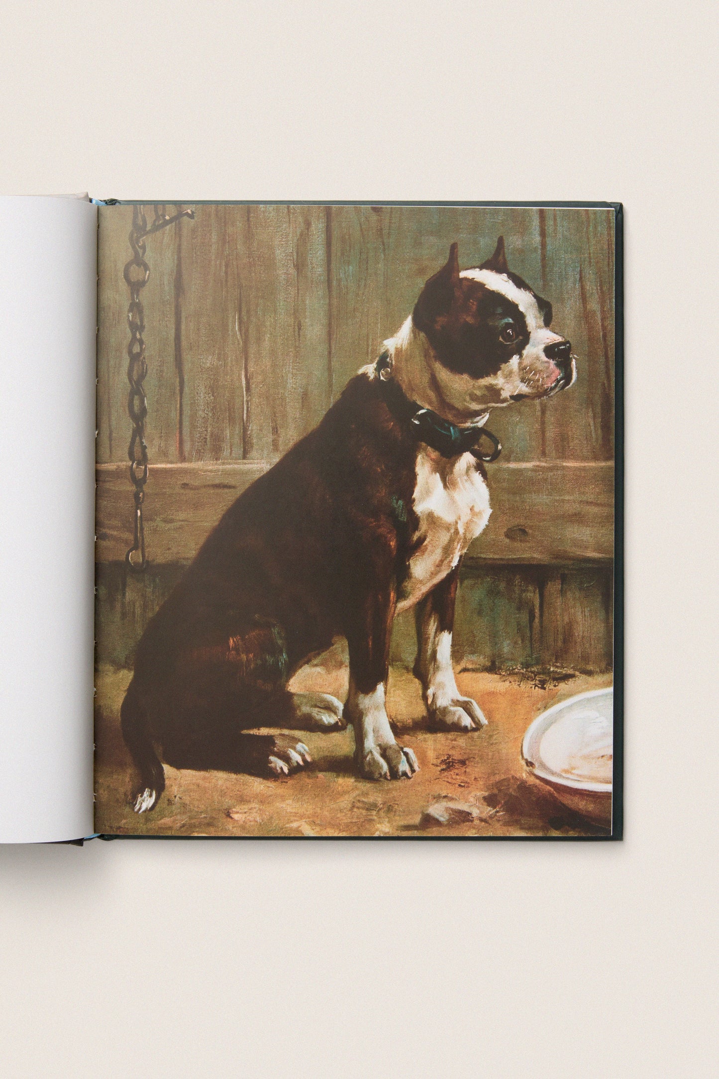 Art Dog: Clever Canines of the Art World