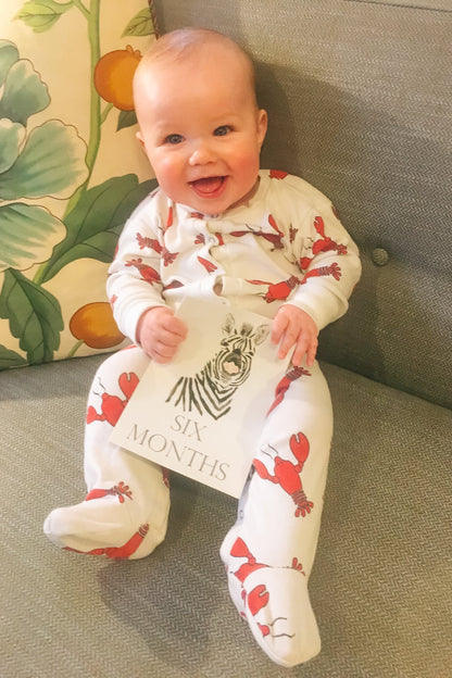 Baby Month Cards