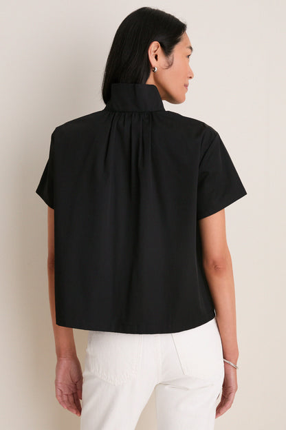 Black Finn Popover