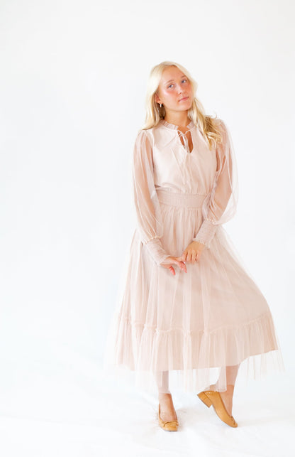Whimsical Mesh Midi Dress