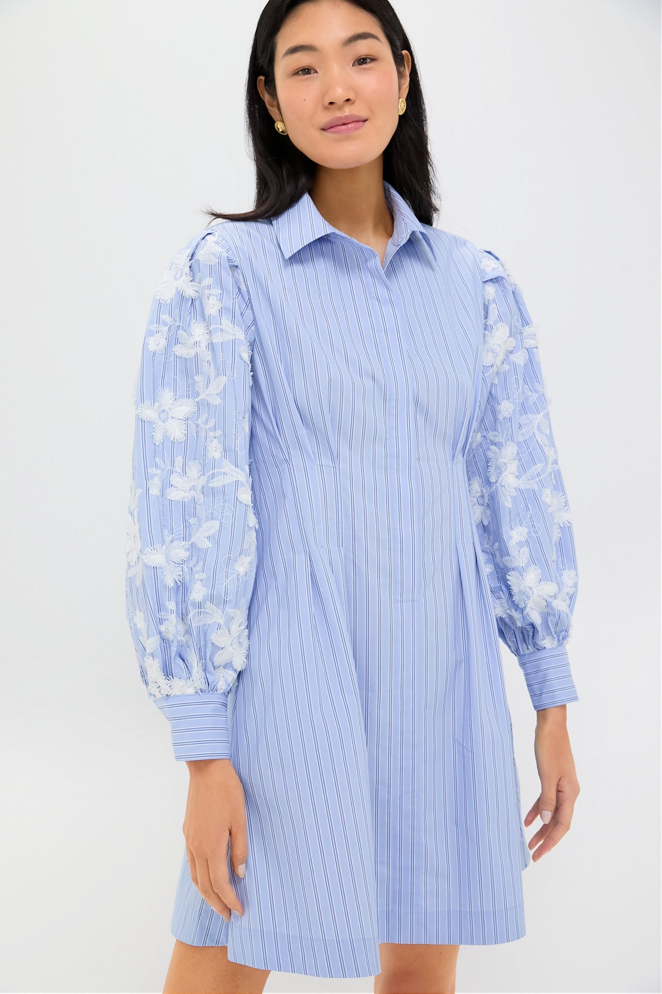 Blue Stripe Embroidery Mini Corinne Dress