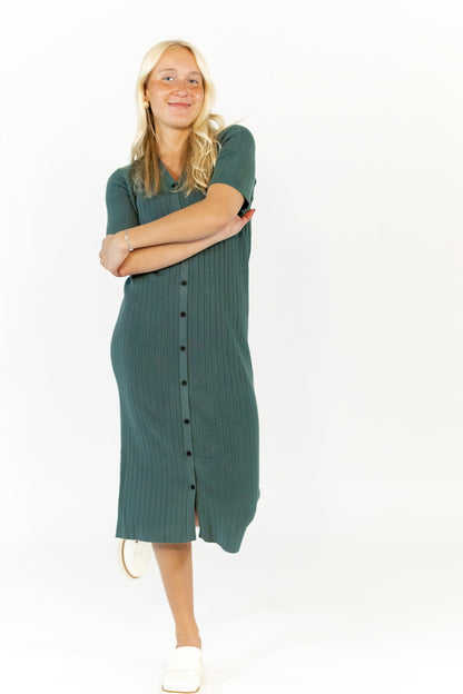 Laith Button Down Sweater Dress