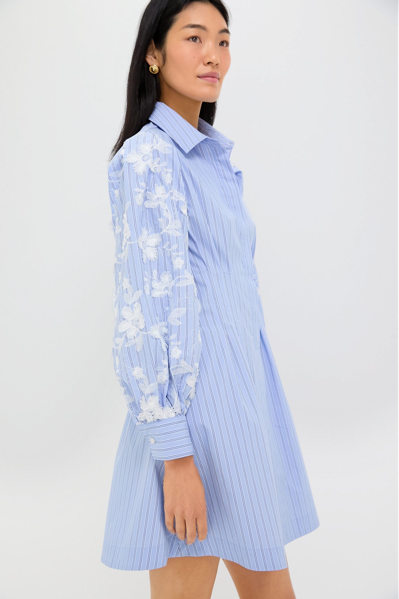 Blue Stripe Embroidery Mini Corinne Dress